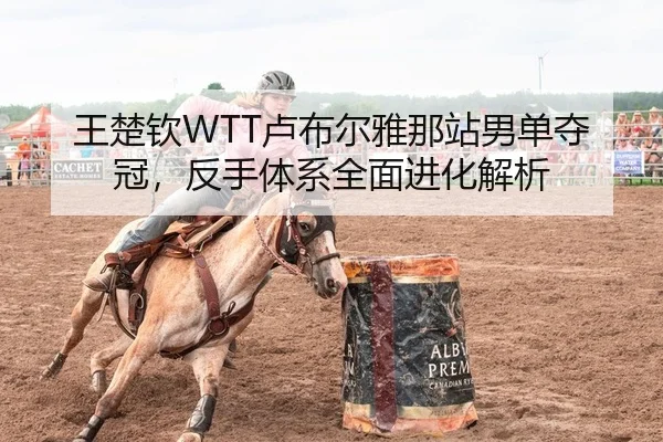 王楚钦WTT卢布尔雅那站男单夺冠，反手体系全面进化解析